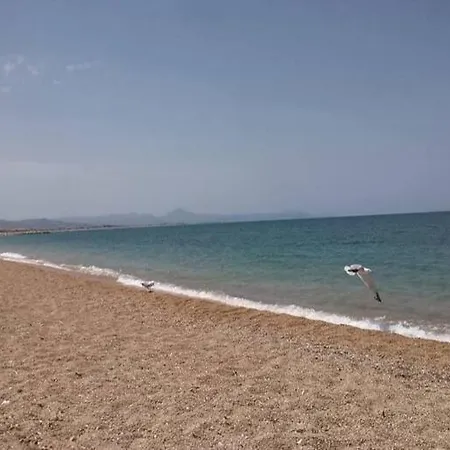 Estrella Del Mar Denia